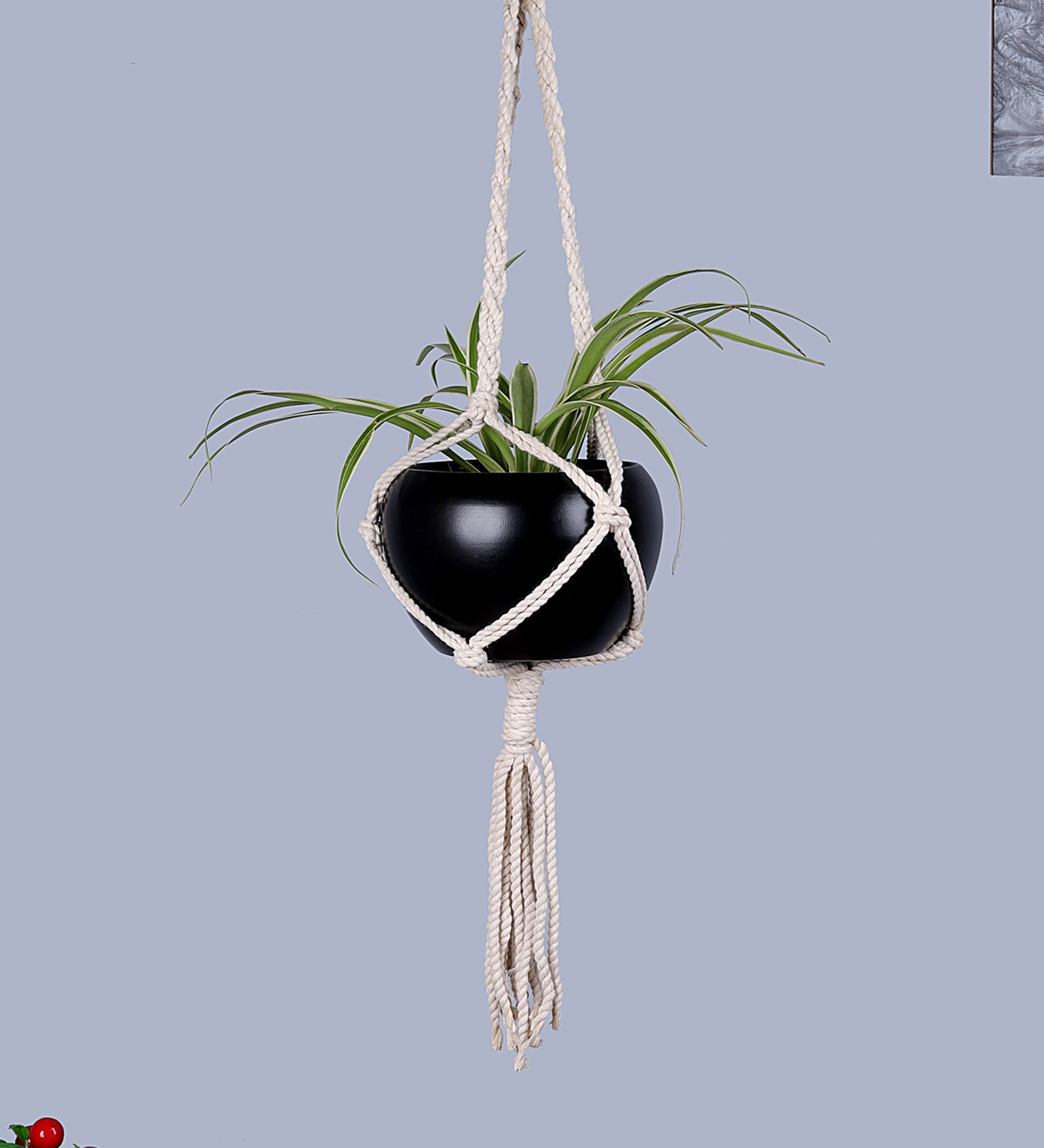 Beige Macrame Medium Hanging Rope Planter with Metal Black Pot (Set of 2)