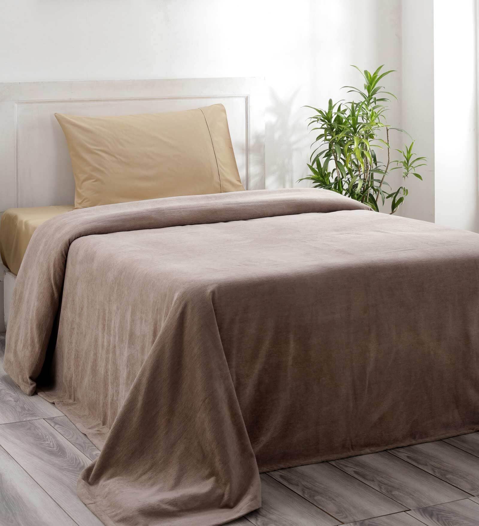 Buy Beige Solid 110 Tc Cotton Single Bed Cover By Maspar At 10% Off By 