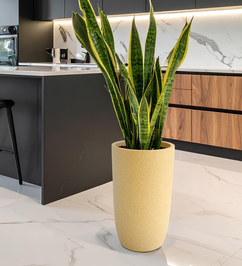 Beige TPC Round 24 Inches Planter