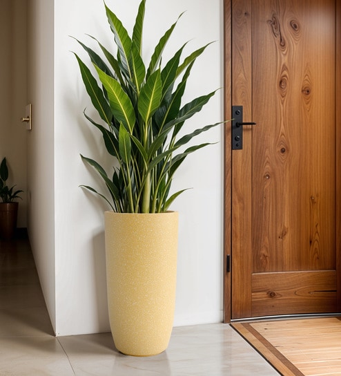 Beige TPC Round 3 Inches Planter