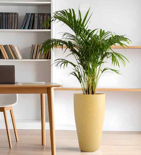 Beige VNR Round 24 Inches Planter