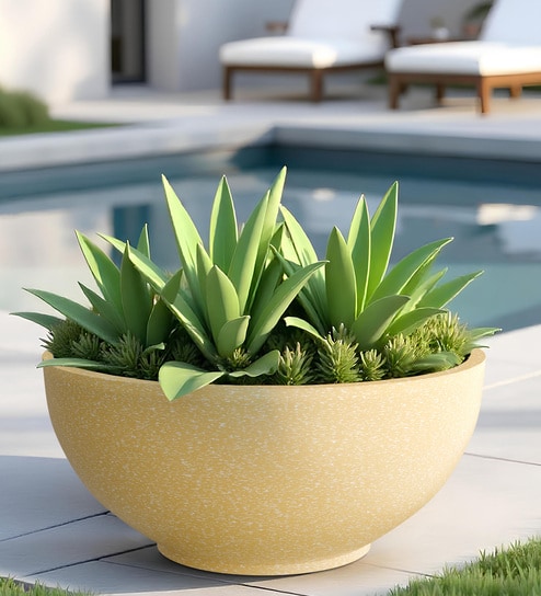 Beige Bowl Shaped Polymer Floor Planter