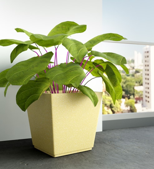 Beige Square Shaped Polymer Floor Planter