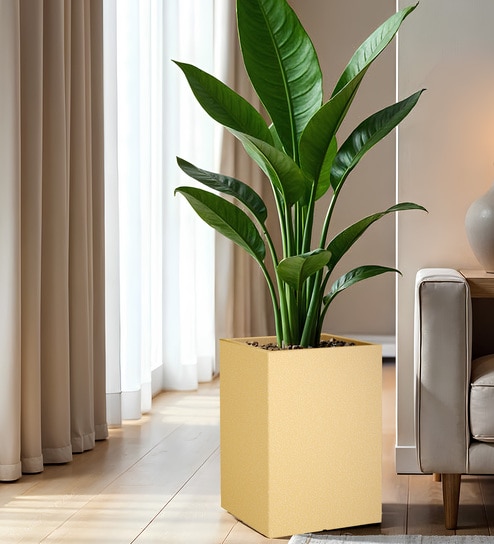 Beige Square Shaped Polymer Floor Planter