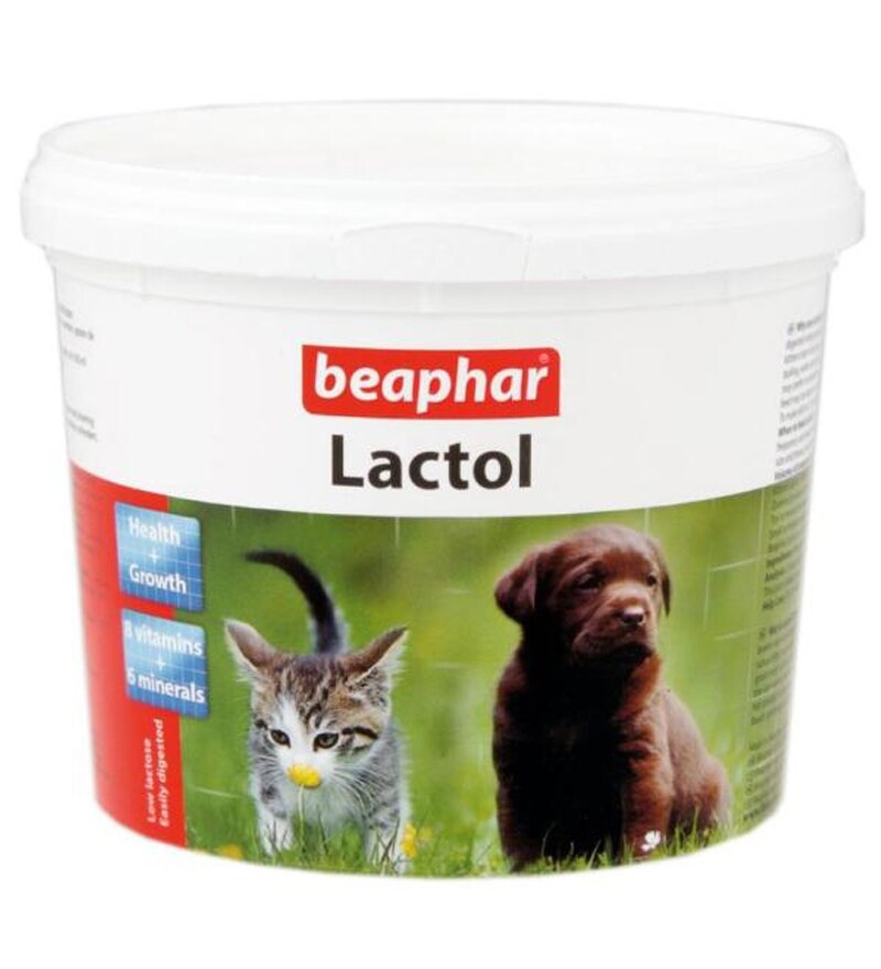 lactol kitten milk powder