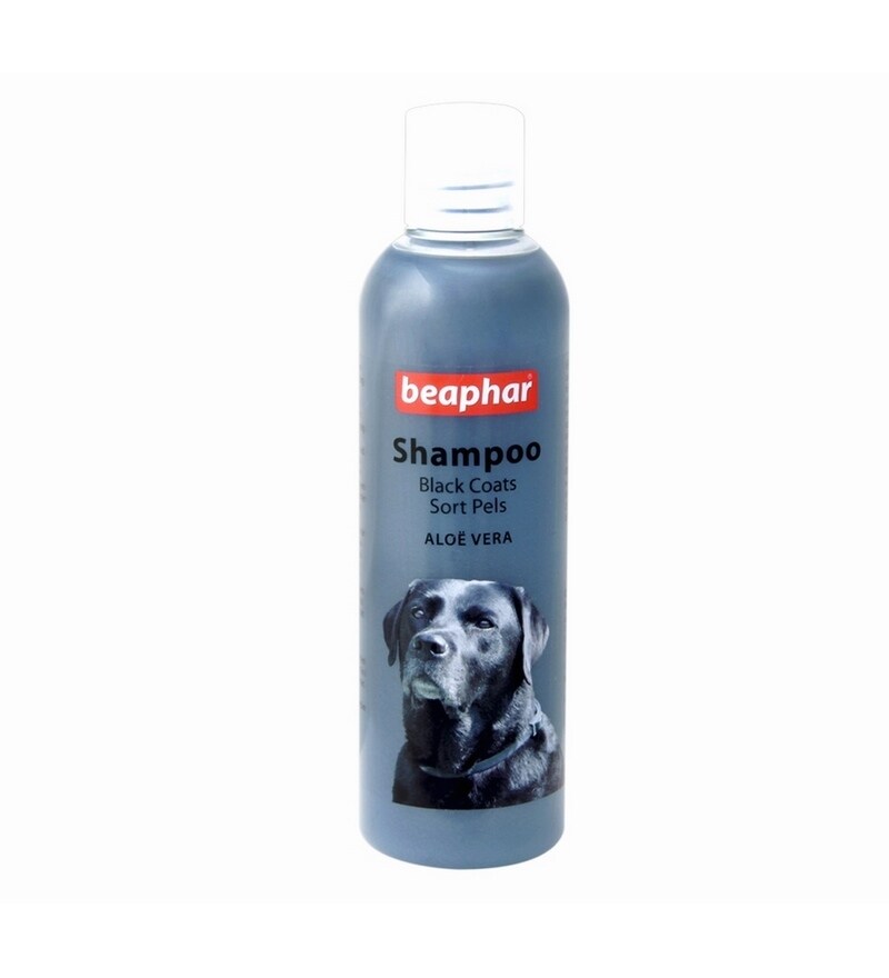 black dog shampoo