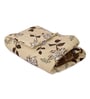 Beage and Brown Polyester Solid 105 GSM Double Bed Comforter