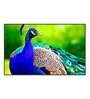 Beautiful Peacock Multicolour Canvas Art Print