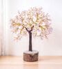 Beautiful Rose Quartz Clusters Wish Tree Stone Table Accent