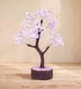 Beautiful Rose Quartz Clusters Wish Tree Stone Table Accent