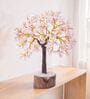 Beautiful Rose Quartz Clusters Wish Tree Stone Table Accent