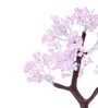 Beautiful Rose Quartz Clusters Wish Tree Stone Table Accent