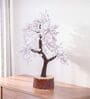 Beautiful Rose Quartz Clusters Wish Tree Stone Table Accent