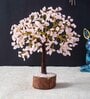 Beautiful Rose Quartz Clusters Wish Tree Stone Table Accent