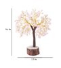 Beautiful Rose Quartz Clusters Wish Tree Stone Table Accent