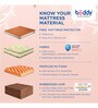 Beddy Blossom 72x36x4 inch Coir Single Mattress (With 1 Free Pillow)