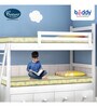 Beddy Blossom 72x36x4 inch Coir Single Mattress (With 1 Free Pillow)