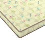 Beddy Blossom 72x36x4 inch Coir Single Mattress (With 1 Free Pillow)