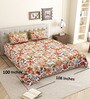 Orange Floral 144 TC Cotton King Size  King Size Bedsheet With 2 Pillow Cover