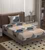 Beige 250 Tc Cotton Bedsheet With 1 Pillow Covers