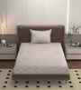 Pink 250 Tc Cotton Bedsheet With 1 Pillow Covers