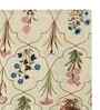 Cream 250 Tc Cotton Bedsheet With 1 Pillow Covers