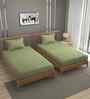 Green 250 Tc Cotton Bedsheet With 2 Pillow Covers