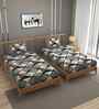 Black 250 Tc Cotton Bedsheet With 2 Pillow Covers