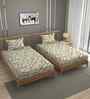 Beige 250 Tc Cotton Bedsheet With 2 Pillow Covers
