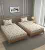 Cream 250 Tc Cotton Bedsheet With 2 Pillow Covers