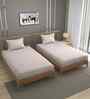 Pink 250 Tc Cotton Bedsheet With 2 Pillow Covers
