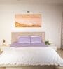 Lilac 300 Tc Cotton Bedsheet Set With 1 Bedsheet & 2 Pillow Covers