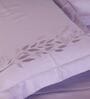 Lilac 300 Tc Cotton Bedsheet Set With 1 Bedsheet & 2 Pillow Covers