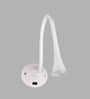 Palermo Metal LED Picture Light (White)