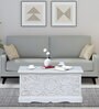 Beene Solid Wood Trunk Box In White Distress Finish