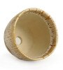 Beige & Brown Ceramic Melting Glaciers Studio Pottery Decorative Planters