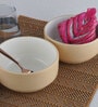 (Set Of 2) Beige & White Stoneware Snack Bowl