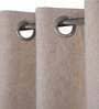Beige Solid Cotton Blend 5 Ft Light Filtering Eyelet Window Curtain