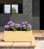 Beige GT rectangular 218 Planter