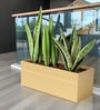 Beige GT rectangular 2411 Planter