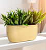 Beige PCTR rectangular 2411 Planter