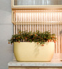 Beige PCTR rectangular 2411 Planter