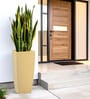 Beige Square Shaped Polymer Floor Planter