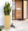 Beige Square Shaped Polymer Floor Planter