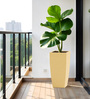 Beige Square Shaped Polymer Floor Planter