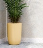 Beige TPC Round 14 Inches Planter