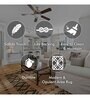 Beige  Traditional 4 ft x6 ft Carpet