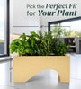 Beige UCTR rectangular 2411 Planter