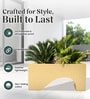 Beige UCTR rectangular 2411 Planter