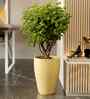 Beige VNR Round 18 Inches Planter